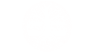 Luzi