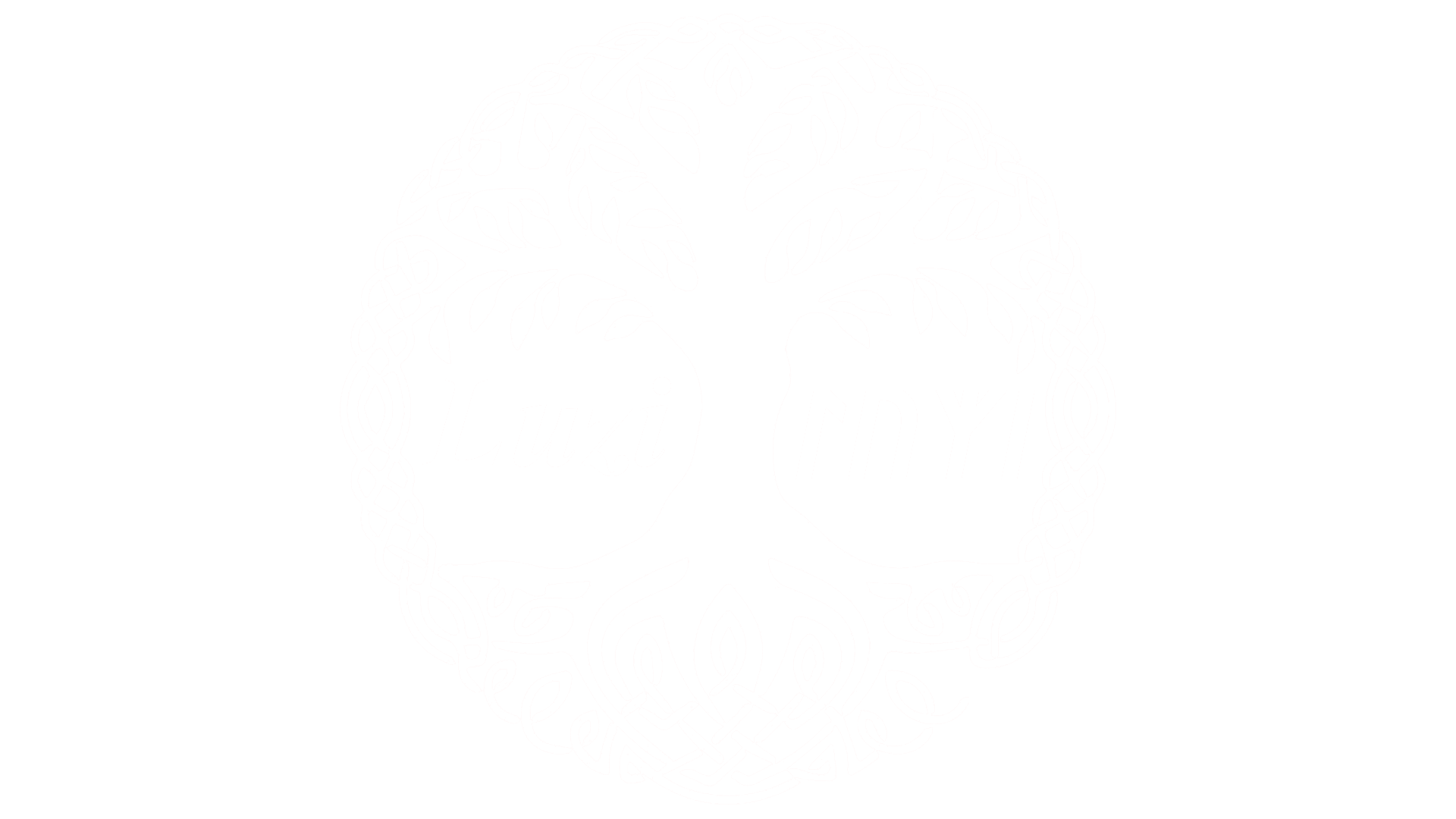 Luzi